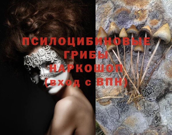 кокаин Бородино