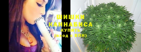 ГАЛЛЮЦИНОГЕННЫЕ ГРИБЫ Бугульма