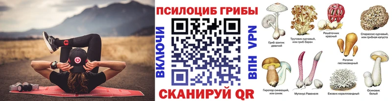 Псилоцибиновые грибы Psilocybe  Тбилисская 
