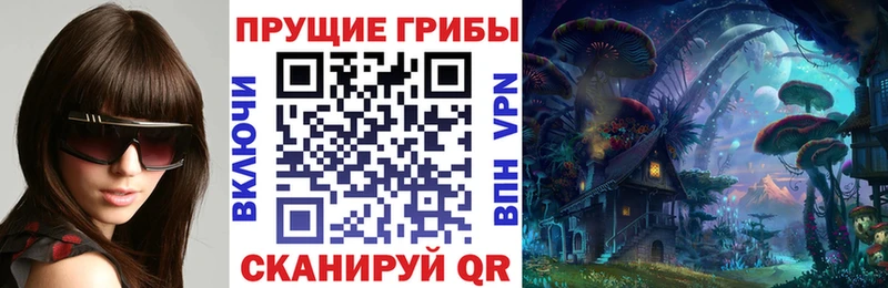 Галлюциногенные грибы Psilocybe Тбилисская